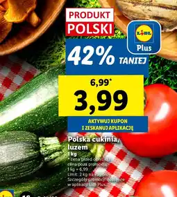 Lidl Cukinia 1 kg Lidl oferta