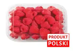 Dino Malina Polska Dino oferta