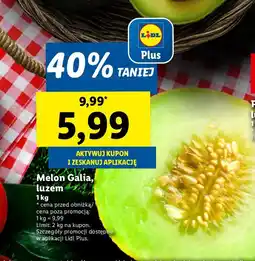 Lidl Melon Galia 1 kg Lidl oferta