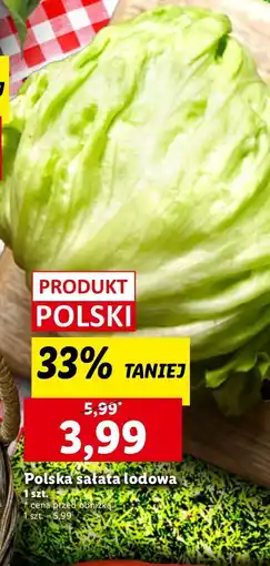 Lidl Sałata lodowa polska 1 szt. Lidl oferta