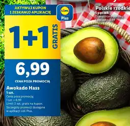 Lidl Awokado Hass 1 szt. Lidl oferta