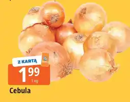 E.Leclerc Cebula Leclerc oferta
