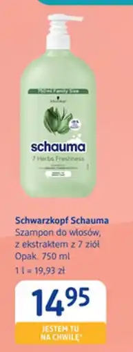 dm drogerie markt Szampon do włosów Schwarzkopf Schauma oferta