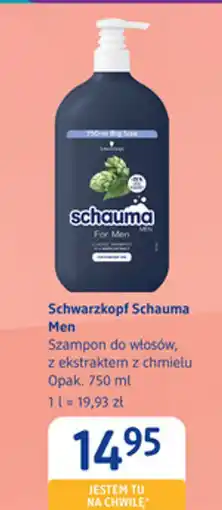 dm drogerie markt Szampon do włosów Schwarzkopf Schauma Men oferta