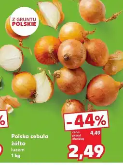 Kaufland Cebula żółta 1 kg oferta