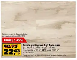 OBI Panele podłogowe oferta