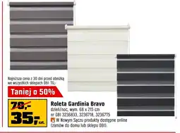 OBI Roleta Bravo oferta