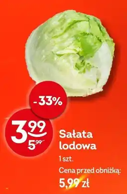 Żabka Sałata lodowa Żabka oferta