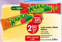 Żabka Lody wodne Kaktus Gibek oferta