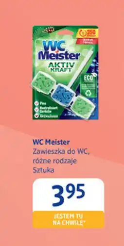 dm drogerie markt WC Meister oferta