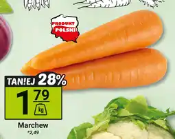 Hitpol Marchew Hitpol oferta