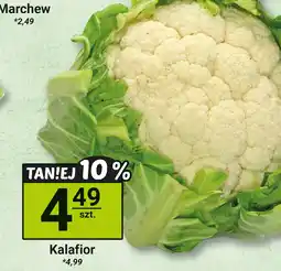Hitpol Kalafior Hitpol oferta