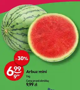 Żabka Arbuz mini Żabka oferta