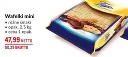 Makro Wafelki mini Tago oferta