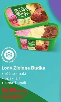Makro Lody Zielona Budka różne smaki oferta