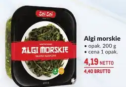 Makro Algi morskie Sol-Sol oferta