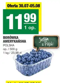 Spar Borówka amerykańska oferta