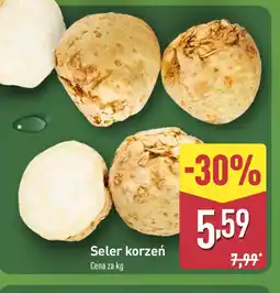 ALDI Seler korzeń oferta