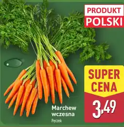 ALDI Marchew wczesna oferta