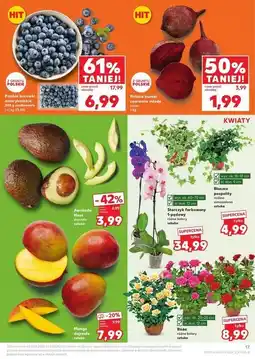 Kaufland Borówki amerykańskie polska oferta