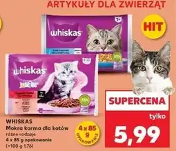 Kaufland Potrawy tradycyjne w galarecie Whiskas Junior oferta