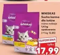 Kaufland Karma dla kota z kurczakiem Whiskas oferta