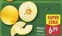 ALDI Melon galia oferta