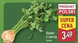 ALDI Seler z nacią oferta