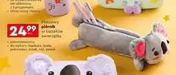 Biedronka Piórnik Koala oferta