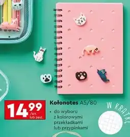 Biedronka Kołonotes oferta