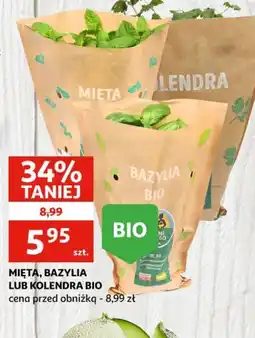 Auchan Mięta, bazylia lub kolendra BIO oferta