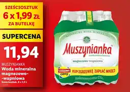 Lidl Woda mineralna Muszynianka oferta