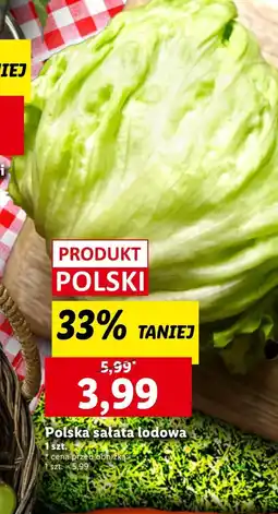 Lidl Sałata lodowa Polski oferta