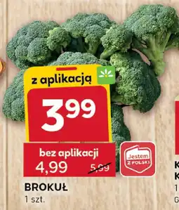 Stokrotka Brokuł Stokrotka oferta