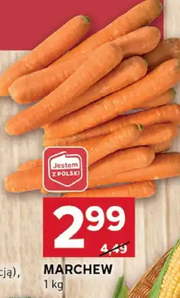 Stokrotka Marchew Jestem z Polski oferta