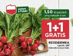 Stokrotka Rzodkiewka Stokrotka oferta