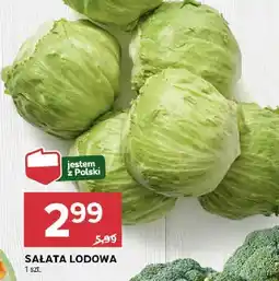 Stokrotka Sałata lodowa Stokrotka oferta