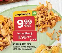 Stokrotka Kurki świeże Stokrotka oferta