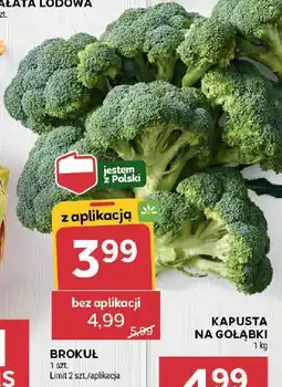 Stokrotka Kapusta na gołąbki Stokrotka oferta