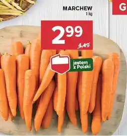 Stokrotka Marchew Stokrotka oferta
