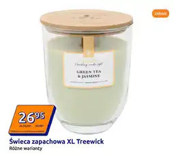 Action Świeca zapachowa XL Treewick oferta