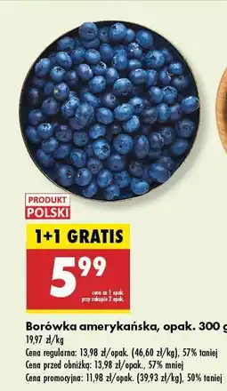 Biedronka Borówka amerykańska Biedronka oferta