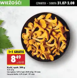 Biedronka Kurki Biedronka oferta