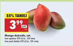 Biedronka Mango dojrzałe Biedronka oferta