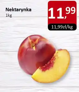 Market Point Nektarynka Market Point oferta