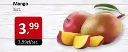 Market Point Mango Market Point oferta