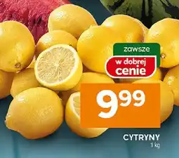 Stokrotka Cytryny Stokrotka oferta