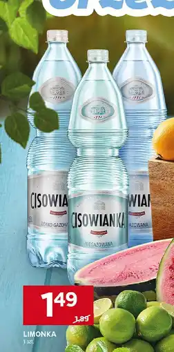 Stokrotka Limonka Stokrotka oferta