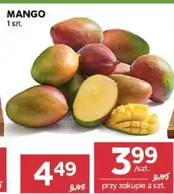 Stokrotka Mango Stokrotka oferta