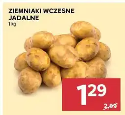 Stokrotka Ziemniaki wczesne jadalne Stokrotka oferta
